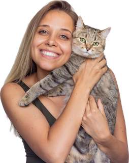 Cutout style preview